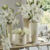 Collection Bulbes Pour Bouquets Modernes Blancs 2 Collection Bulbes Pour Bouquets Modernes Blancs -Jardin Parfait Soldes 2024 Collection bulbes pour bouquets modernes blancs 18974 1
