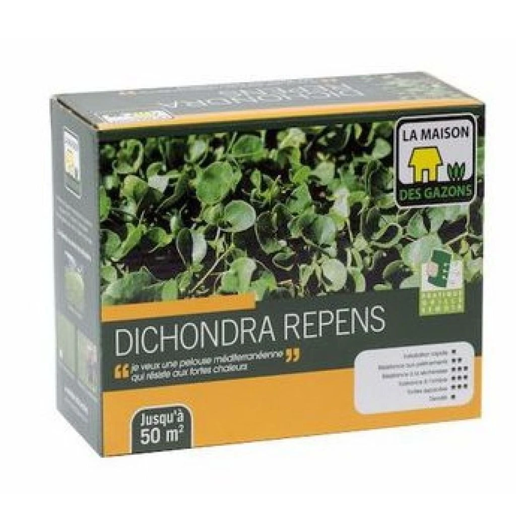 Graines De Dichondra Repens 3 Graines De Dichondra Repens